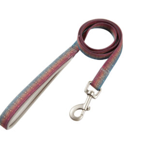 Aurora Borealis Design Dog Leash