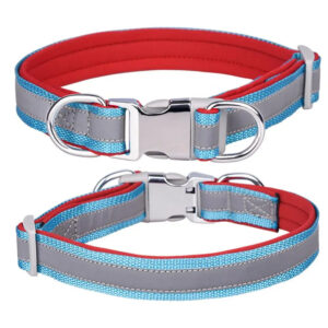 Collar for Pet Dog