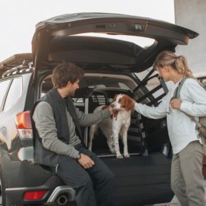 Truck Bed Dog Kennel
